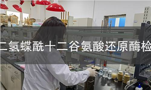 二氫蝶酰十二谷氨酸還原酶檢測(cè)