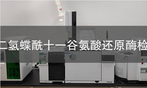 二氫蝶酰十一谷氨酸還原酶檢測