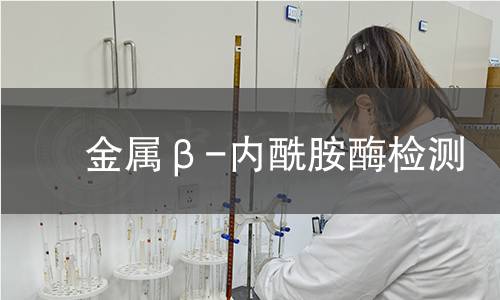  金屬β-內(nèi)酰胺酶檢測