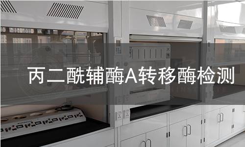 丙二酰輔酶A轉(zhuǎn)移酶檢測(cè)