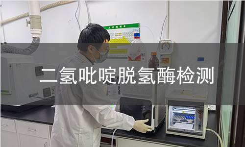 二氫吡啶脫氫酶檢測