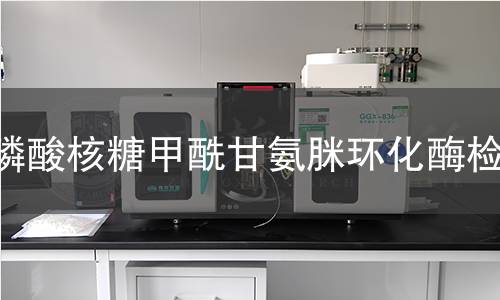 磷酸核糖甲酰甘氨脒環(huán)化酶檢測(cè)