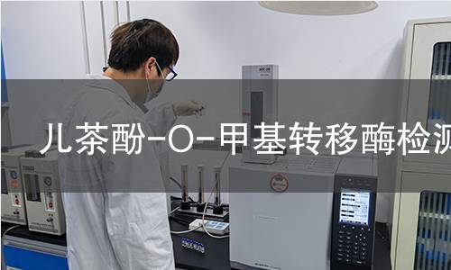 兒茶酚-O-甲基轉(zhuǎn)移酶檢測