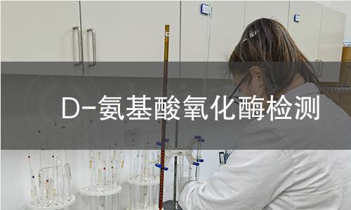 D-氨基酸氧化酶檢測