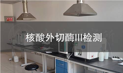  核酸外切酶III檢測(cè)