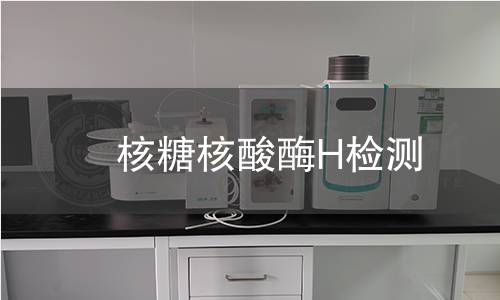  核糖核酸酶H檢測