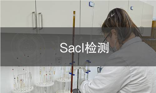  SacI檢測(cè)