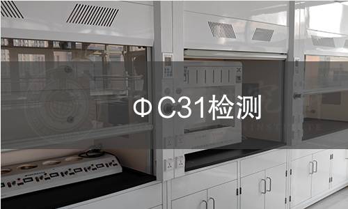  ΦC31檢測(cè)