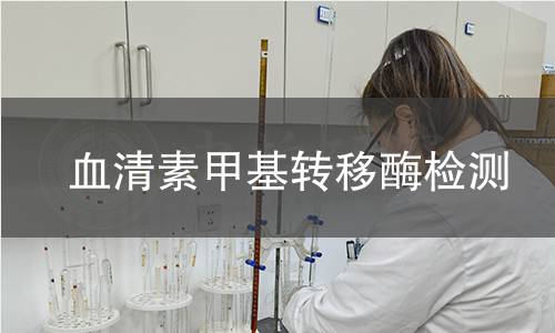 血清素甲基轉移酶檢測