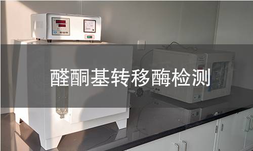 醛酮基轉(zhuǎn)移酶檢測(cè)