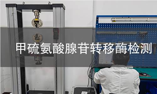  甲硫氨酸腺苷轉(zhuǎn)移酶檢測