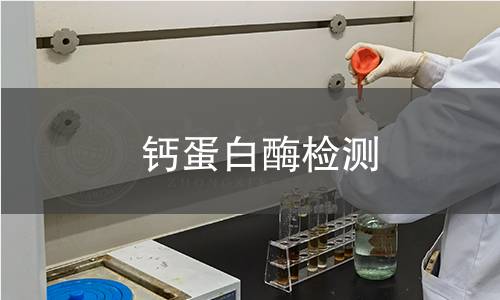  鈣蛋白酶檢測(cè)