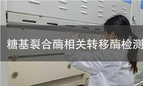 糖基裂合酶相關(guān)轉(zhuǎn)移酶檢測