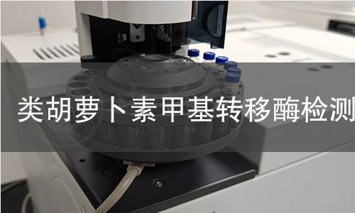 類胡蘿卜素甲基轉(zhuǎn)移酶檢測