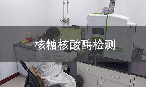 核糖核酸酶檢測