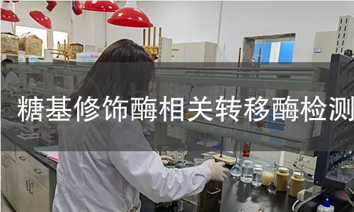 糖基修飾酶相關(guān)轉(zhuǎn)移酶檢測(cè)