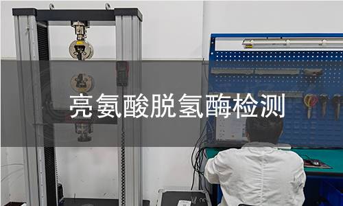 亮氨酸脫氫酶檢測