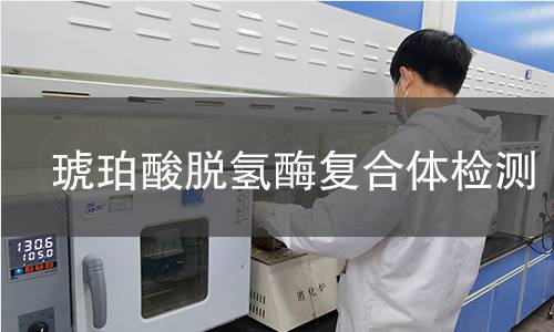  琥珀酸脫氫酶復(fù)合體檢測