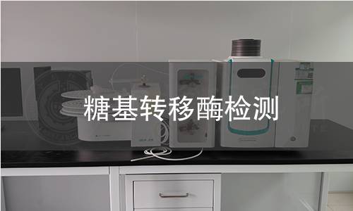 糖基轉(zhuǎn)移酶檢測