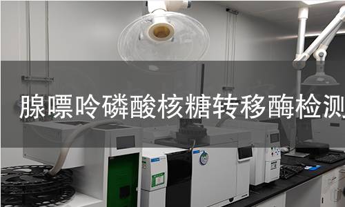  腺嘌呤磷酸核糖轉(zhuǎn)移酶檢測(cè)