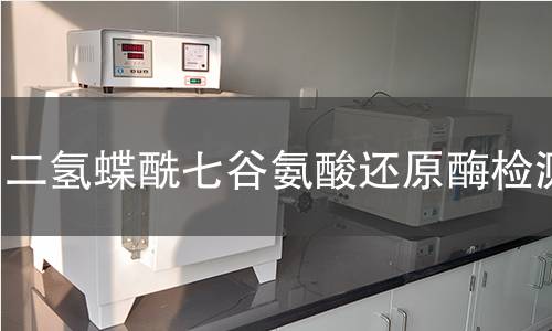 二氫蝶酰七谷氨酸還原酶檢測