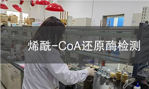 烯酰-CoA還原酶檢測(cè)