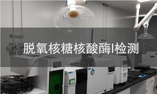 脫氧核糖核酸酶I檢測