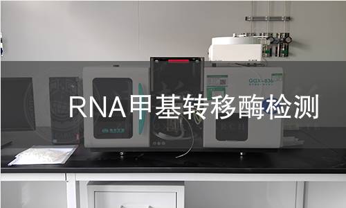 RNA甲基轉(zhuǎn)移酶檢測(cè)