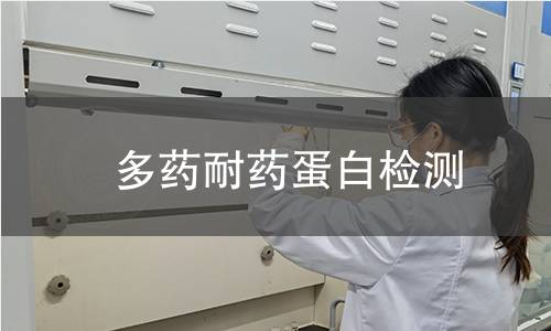  多藥耐藥蛋白檢測(cè)