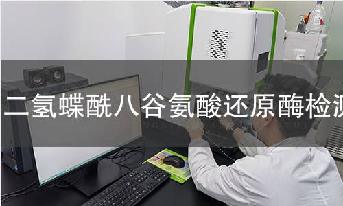 二氫蝶酰八谷氨酸還原酶檢測(cè)