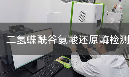 二氫蝶酰谷氨酸還原酶檢測