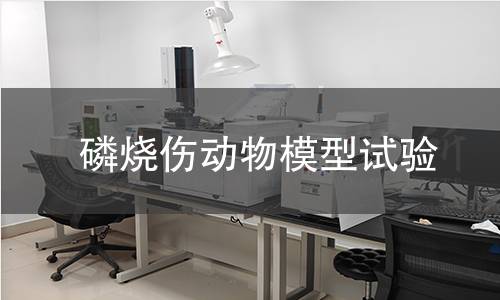 磷燒傷動物模型試驗(yàn)