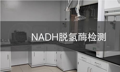 NADH脫氫酶檢測