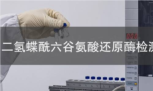 二氫蝶酰六谷氨酸還原酶檢測