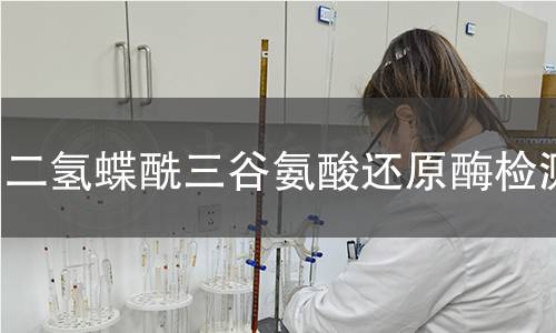 二氫蝶酰三谷氨酸還原酶檢測