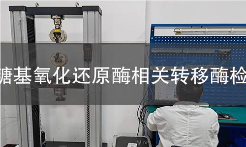 糖基氧化還原酶相關(guān)轉(zhuǎn)移酶檢測(cè)