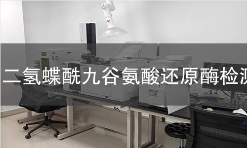 二氫蝶酰九谷氨酸還原酶檢測