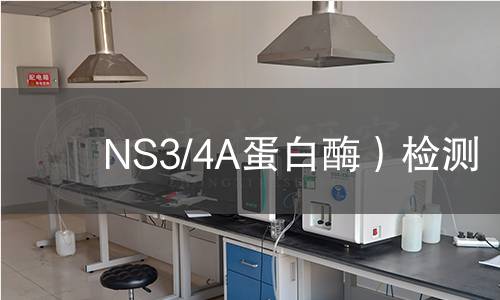  NS3/4A蛋白酶）檢測