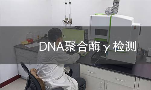  DNA聚合酶γ檢測