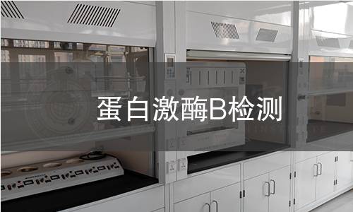  蛋白激酶B檢測(cè)