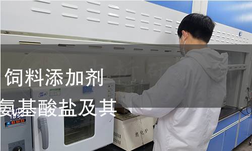 GB 7300.102-2019 飼料添加劑 第1部分：氨基酸、氨基酸鹽及其類似物 甘氨酸