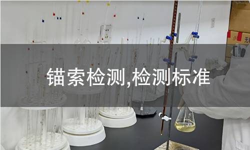 錨索檢測,檢測標(biāo)準(zhǔn)