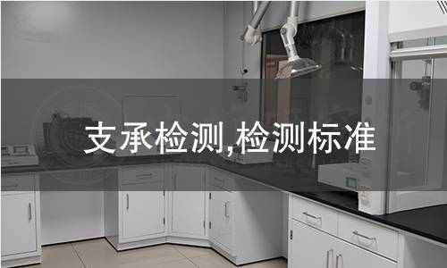 支承檢測,檢測標(biāo)準(zhǔn)