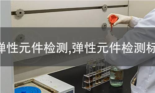 彈性元件檢測(cè),彈性元件檢測(cè)標(biāo)準(zhǔn)