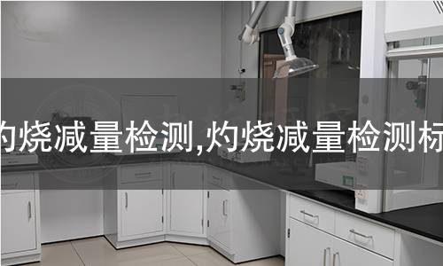 刺破強(qiáng)力檢測(cè),刺破強(qiáng)力檢測(cè)標(biāo)準(zhǔn)