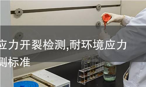 耐燃檢測(cè),耐燃檢測(cè)標(biāo)準(zhǔn)