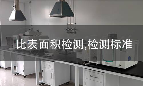 比表面積檢測,檢測標(biāo)準(zhǔn)