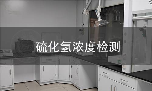 硫化氫濃度檢測(cè) 硫化氫濃度檢測(cè)