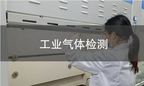 工業(yè)氣體檢測(cè)