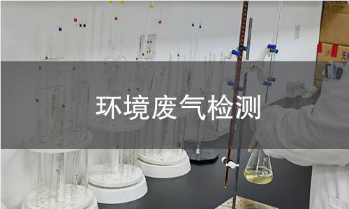 環(huán)境廢氣檢測(cè) 環(huán)境廢氣檢測(cè)